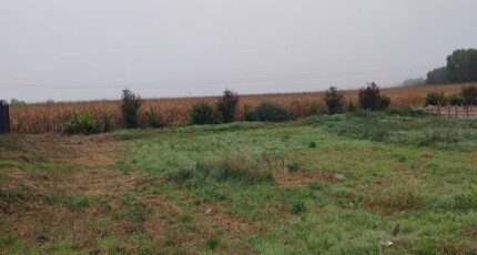 Weckolsheim Terrain à bâtir - 2298632-5767annonce1202510084ybpF.jpeg Maisons BRAND