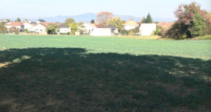 Morschwiller-le-Bas Maison neuve - 2347184-11139annonce120251124f99EJ.jpeg Maisons BRAND