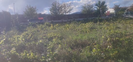 Terrain à bâtir à Bennwihr, Grand Est