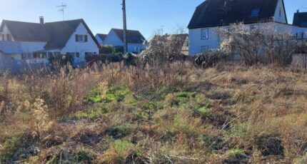 Fortschwihr Maison neuve - 2280349-5767annonce120250923ltfX5.jpeg Maisons BRAND