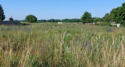 Artzenheim Maison neuve - 2296124-5767annonce620251007zTg1V.jpeg Maisons BRAND