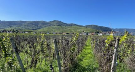 Wintzenheim Terrain à bâtir - 2336115-11028annonce120251113Sn4n7.jpeg Maisons BRAND