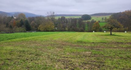 Rœschwoog Terrain à bâtir - 2341862-11183annonce1202511186kA94.jpeg Maisons BRAND