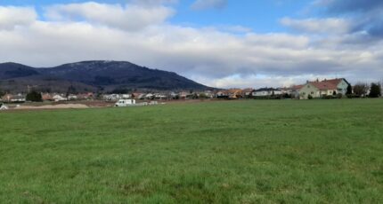 Wattwiller Maison neuve - 2347170-11139annonce1202511242Td3T.jpeg Maisons BRAND