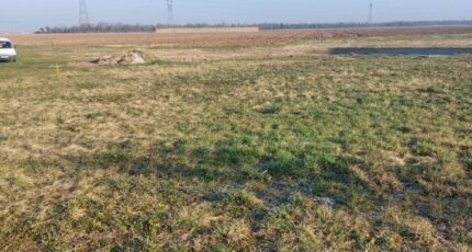 Heiteren Maison neuve - 2318571-5767annonce120251027oLElm.jpeg Maisons BRAND