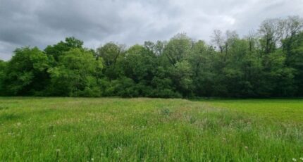 Wentzwiller Maison neuve - 2380491-11139annonce1202601051C7e1.jpeg Maisons BRAND