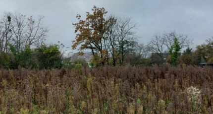 Widensolen Maison neuve - 2380781-5767annonce120260105nfJaR.jpeg Maisons BRAND