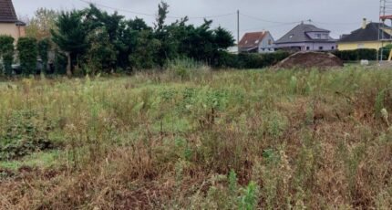 Dessenheim Maison neuve - 2380510-5767annonce120260105dCATX.jpeg Maisons BRAND