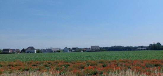 Terrain à bâtir à , Haut-Rhin