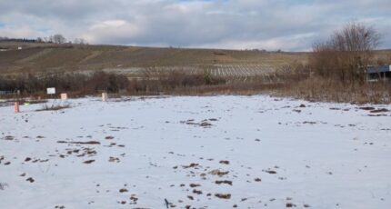 Riquewihr Maison neuve - 2382407-5767annonce120260106BiKMt.jpeg Maisons BRAND