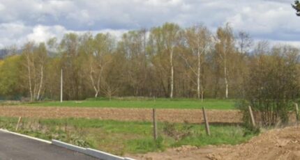 Dannemarie Maison neuve - 2391099-11139annonce120260113tJxen.jpeg Maisons BRAND