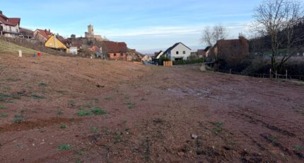 Katzenthal Maison neuve - 2392130-11028annonce320260114OEXOs.jpeg Maisons BRAND