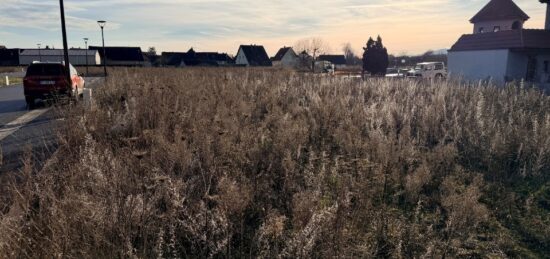 Terrain à bâtir à , Haut-Rhin