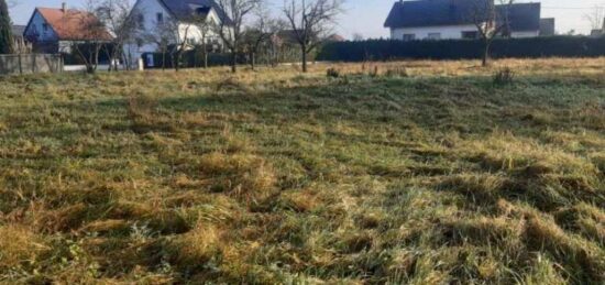 Terrain à bâtir à , Haut-Rhin