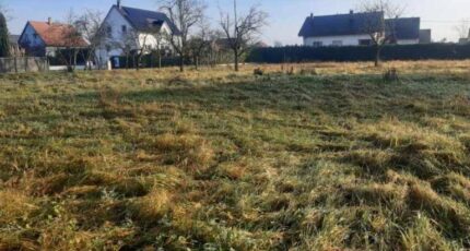 Obersaasheim Maison neuve - 2372410-5767annonce720251218KXobF.jpeg Maisons BRAND