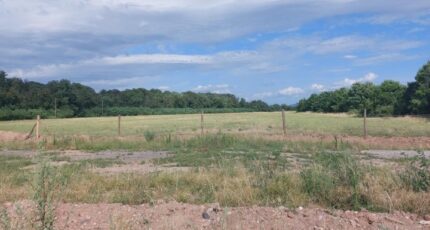 Bennwihr Maison neuve - 2311299-5767annonce120251020RlqLB.jpeg Maisons BRAND