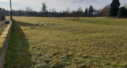 Balschwiller Terrain à bâtir - 2408407-11207annonce32026012791mJ3.jpeg Maisons BRAND