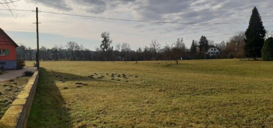 Terrain à bâtir à Balschwiller, Grand Est