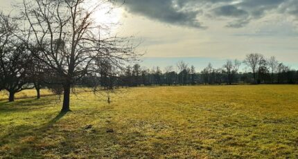 Balschwiller Terrain à bâtir - 2408772-11207annonce220260127x2ZdH.jpeg Maisons BRAND