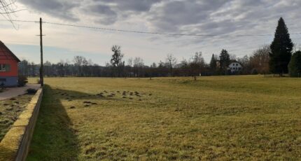 Balschwiller Maison neuve - 2408777-11207annonce120260127e9XS7.jpeg Maisons BRAND