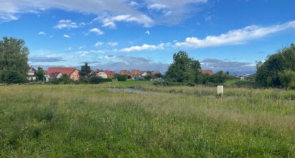 Dannemarie Terrain à bâtir - 2409637-11207annonce1202601281Uyk6.jpeg Maisons BRAND