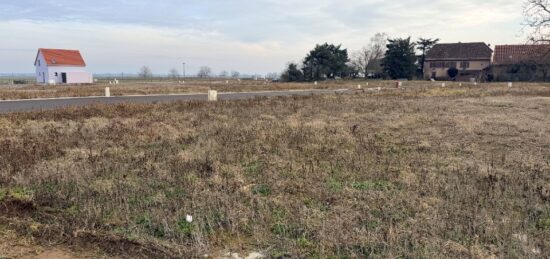 Terrain à bâtir à Bergholtzzell, Grand Est