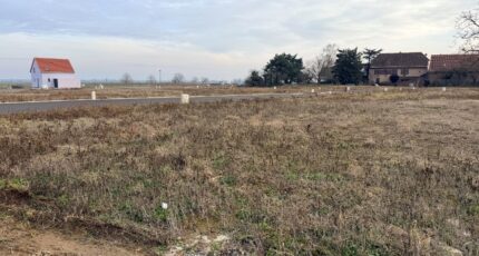 Bergholtzzell Maison neuve - 2411130-11028annonce220260129T7uZU.jpeg Maisons BRAND