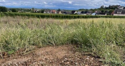 Beblenheim Maison neuve - 2334755-11028annonce120250721RQsHQ.jpeg Maisons BRAND