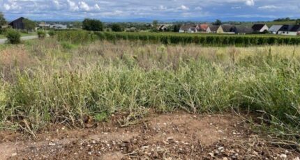 Beblenheim Maison neuve - 2334777-11028annonce220250721k7pko.jpeg Maisons BRAND