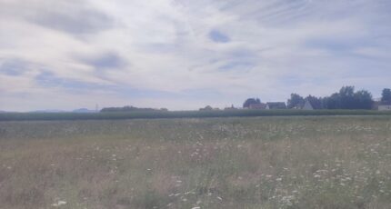 Muntzenheim Maison neuve - 2380750-5767annonce120260105vnu7A.jpeg Maisons BRAND