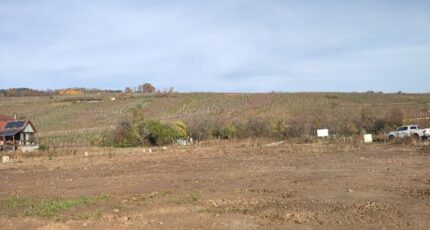 Riquewihr Terrain à bâtir - 2382386-5767annonce120260106k9Lv3.jpeg Maisons BRAND