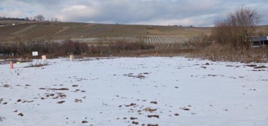 Terrain à bâtir à , Haut-Rhin