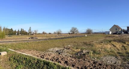 Bantzenheim Maison neuve - 2395326-11028annonce220260116CeHbb.jpeg Maisons BRAND