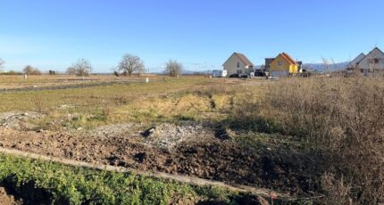 Bantzenheim Maison neuve - 2395350-11028annonce1202601160ZJr9.jpeg Maisons BRAND