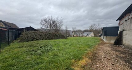 Jettingen Maison neuve - 2395176-11207annonce220260116Wr8r6.jpeg Maisons BRAND