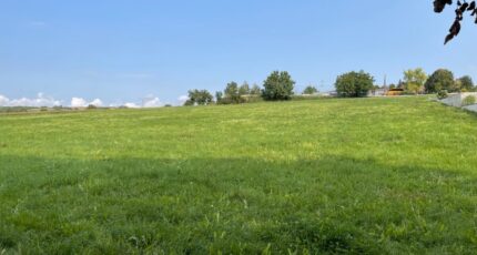 Schnersheim Maison neuve - 2341798-3214annonce120250718kTPct.jpeg Maisons BRAND