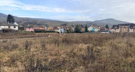 Soultzmatt Maison neuve - 2433968-11028annonce320260219Tdpsm.jpeg Maisons BRAND