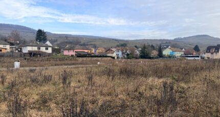 Soultzmatt Maison neuve - 2434058-11028annonce120260219Rhumh.jpeg Maisons BRAND