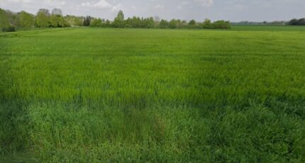 Schlierbach Maison neuve - 2437579-11139annonce12026022306KAZ.jpeg Maisons BRAND