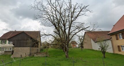 Aspach-le-Bas Maison neuve - 2436450-11207annonce120260220bUtm6.jpeg Maisons BRAND