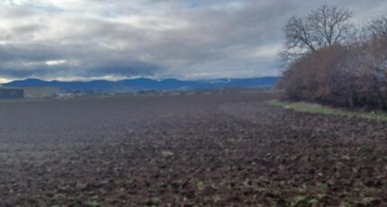 Bischwihr Maison neuve - 2435529-5767annonce620260220HzpnN.jpeg Maisons BRAND