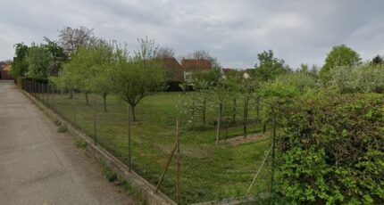 Ringendorf Terrain à bâtir - 2385579-11242annonce220250916bH0v2.jpeg Maisons BRAND