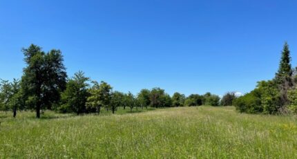 Burnhaupt-le-Bas Maison neuve - 2445175-11139annonce120260302W8dtD.jpeg Maisons BRAND