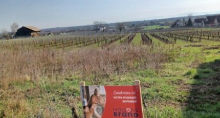 Beblenheim Maison neuve - 2447927-5767annonce620260305KfAVb.jpeg Maisons BRAND