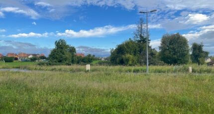 Dannemarie Terrain à bâtir - 2409637-11207annonce220260128dSJER.jpeg Maisons BRAND