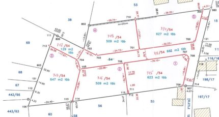 Dannemarie Maison neuve - 2418593-11207annonce420260204SrIpP.jpeg Maisons BRAND