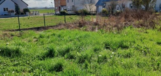 Terrain à bâtir à Jebsheim, Grand Est