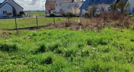 Jebsheim Maison neuve - 2455733-5767annonce120260313iLMGN.jpeg Maisons BRAND