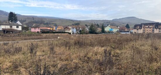 Terrain à bâtir à , Haut-Rhin