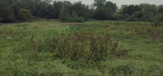 Terrain à bâtir à Kunheim, Grand Est